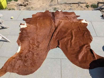 Photo of free Large Cowhide, Reasonable Condition (Pennington SO41) #1