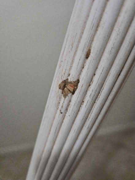 Photo of free Ivory painted curtain rod (Boca Raton West) #4