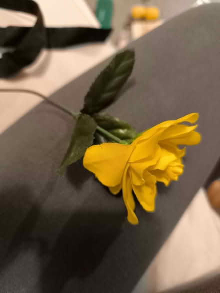 Photo of free Plastic flower (Southend SS2) #1