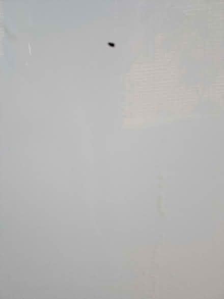 Photo of free White glass kitchen splashback (HR6 0EZ) #3