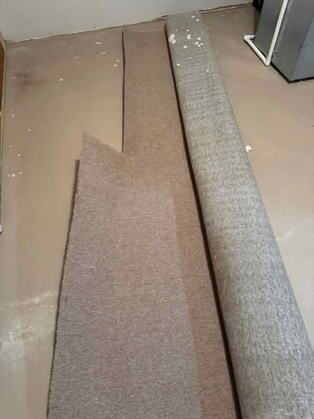 Photo of free 10 x 12 carpet remnant (19711) #1