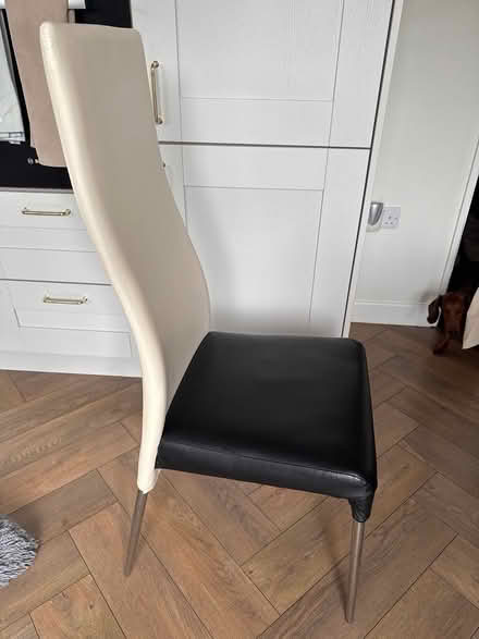 Photo of free Dining chairs (Sandyford) #3