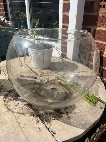 Photo of free Glass fish bowl (Caldecott OX14) #1
