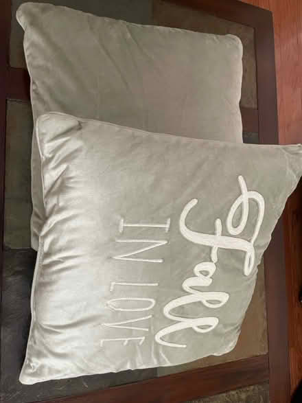 Photo of free Throw pillows (Near Lyndhurst High School) #1