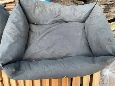 Photo of free x2 medium to large sized dog beds (Northaw EN6) #1