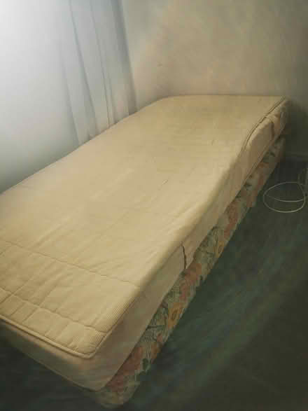 Photo of free Single bed and Mattress (Mount maunganui) #1