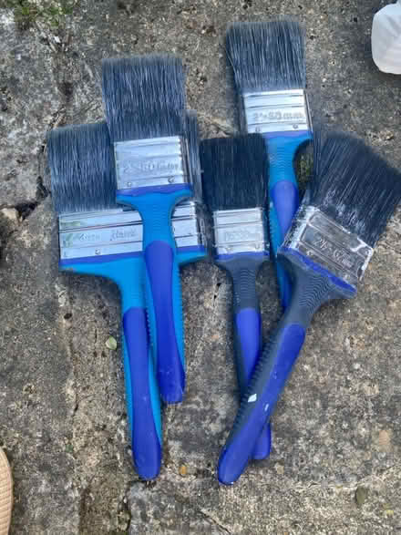 Photo of free Various interior paint brushes (West Malling ME19 6) #1