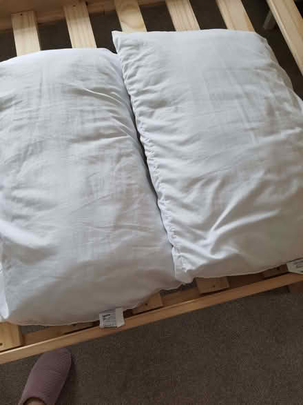 Photo of free 2 pillows (Heysham LA3) #1