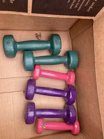 Photo of free Free weights/dumbbells for working out (Old Radnor LD8) #2