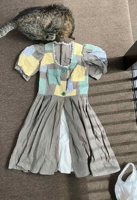 Photo of free Halloween costume dress, underskirt (Ravenswood) #1