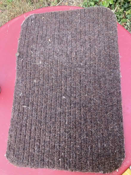 Photo of free Small doormat (Old Radnor LD8) #1