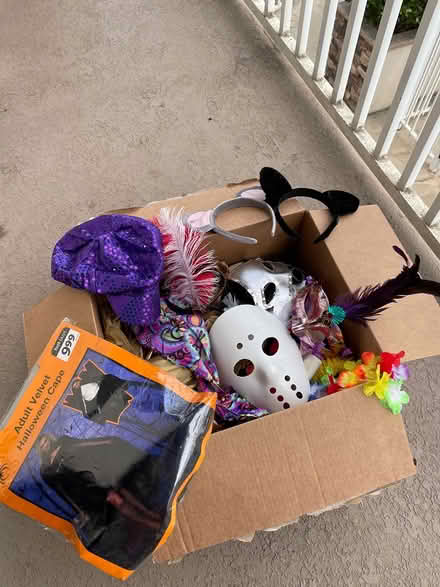 Photo of free Halloween Accessories (Del Mar) #1