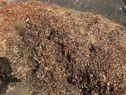 Photo of free Wood chip (Torrisholme LA4) #1