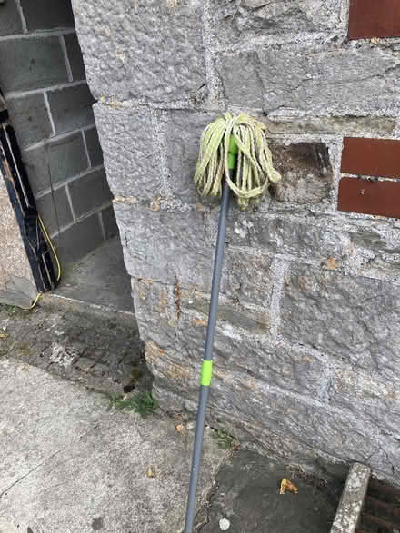Photo of free Old mop (Old Radnor LD8) #1