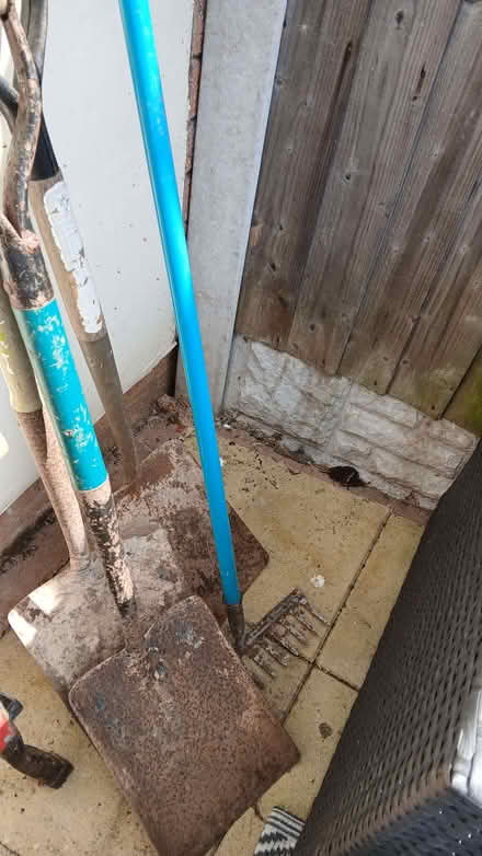 Photo of free Garden /allotment items (Upton CH49) #4