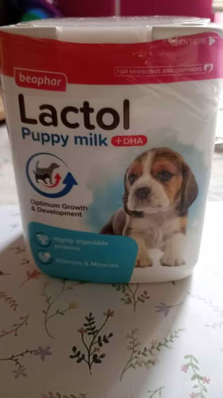 Photo of free Puppy milk (OX4 Greater leys) #1