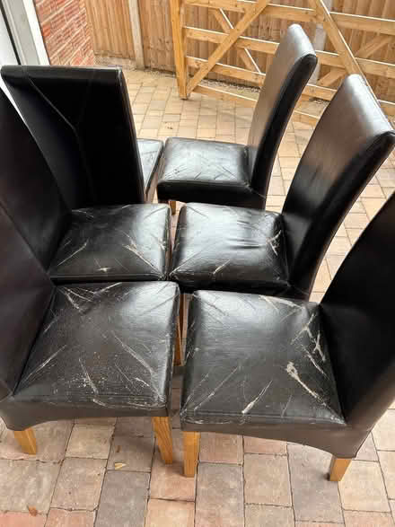 Photo of free Set of dining chairs (Bobblestock HR4) #2