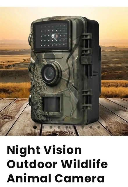 Photo of Critter Cam w night-vision (Shepherdstown, WV) #1