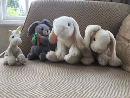 Photo of free 3 Bunny Plushies and a Unicorn (New Bilton CV22) #1