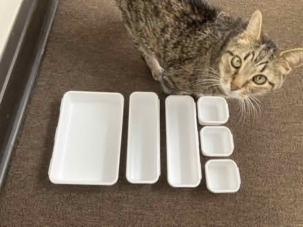 Photo of free Plastic drawer inserts (Ravenswood) #2