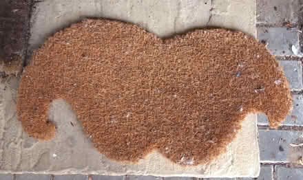 Photo of free doormat (Oakwood LS8) #1