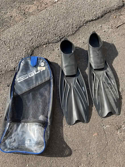 Photo of free Flippers (Wateringbury ME18) #1
