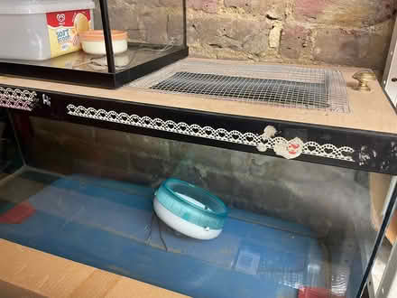 Photo of free Glass tank for gerbils etc (ME16) #4