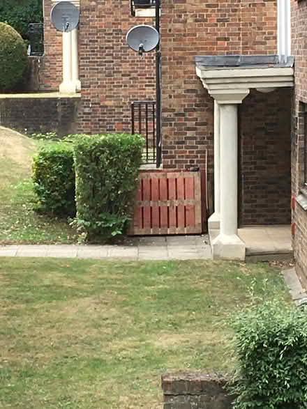 Photo of free Strong double Pallet (Finchley N3) #1