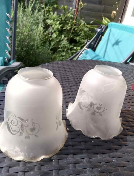 Photo of free Two chandelier light shades (Minchery Farm OX4) #1