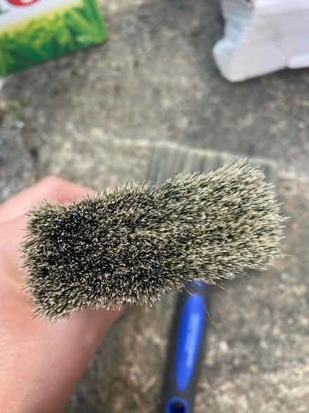 Photo of free 2 exterior paint brushes (West Malling ME19 6) #2