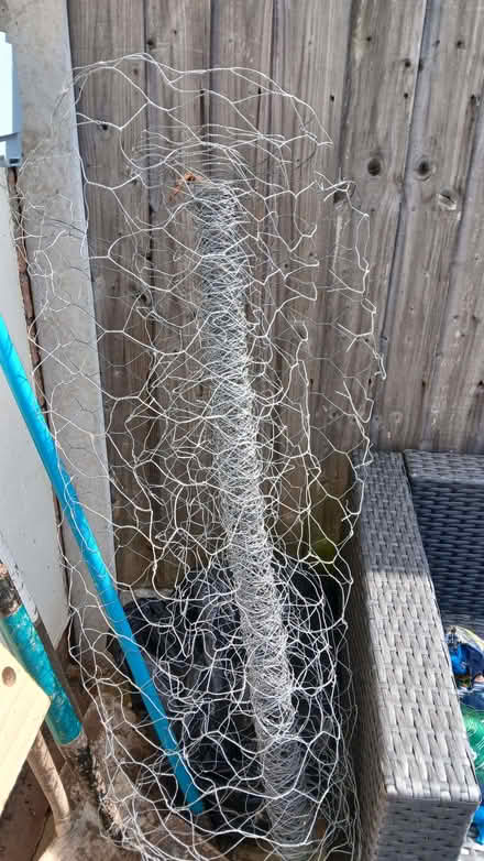 Photo of free Garden /allotment items (Upton CH49) #2