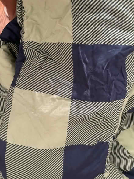 Photo of free Twin comforter and sham (Near Lyndhurst High School) #2