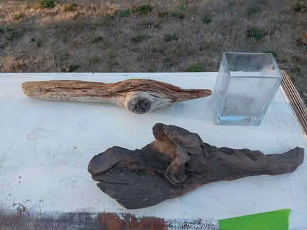 Photo of free Rectangle glass vase, driftwood (4120 6th Ave ne) #1