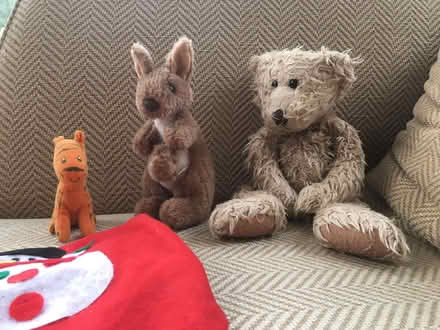 Photo of free Teddy Bear, Kangaroo, Tiger and Santa Sack Toys (New Bilton CV22) #1