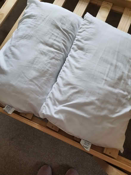 Photo of free 2 pillows (Heysham LA3) #2