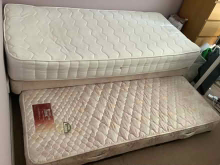 Photo of free Bed (Chelmsford CM1) #2