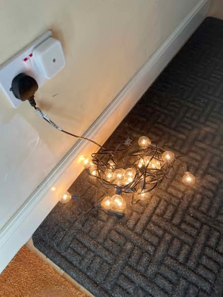 Photo of free Festival lights (Wateringbury ME18) #1