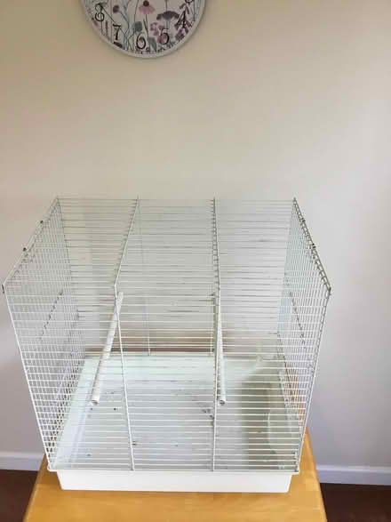 Photo of free Cage (CT11) #1