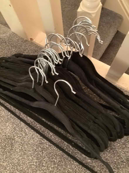 Photo of free Non slip velvet hangers (Rochford SS4) #1