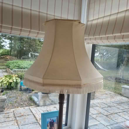Photo of free Vintage lampshade (Bt18 9rw) #1