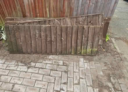 Photo of free Fence panals (CH45) #1