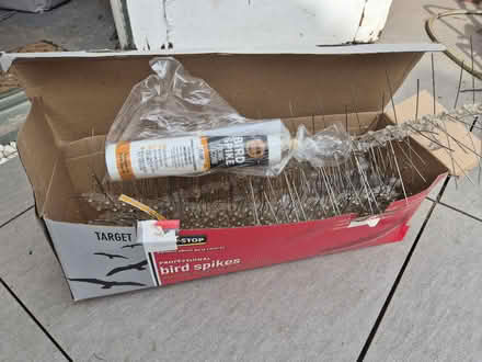 Photo of free Bird spikes (Tytherington SK10) #1