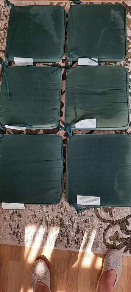 Photo of free 6 garden chair cushions (New Milton) #1