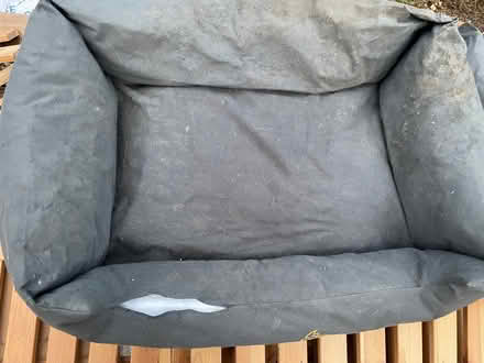 Photo of free x2 medium to large sized dog beds (Northaw EN6) #3