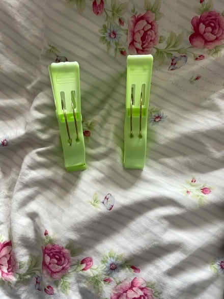 Photo of free Beach towel clips (Fawdon NE3) #1