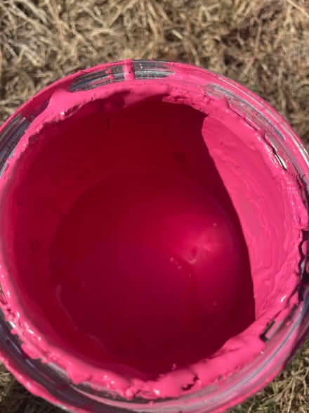 Photo of free Bright pink furniture paint (Branksome, BH12) #2