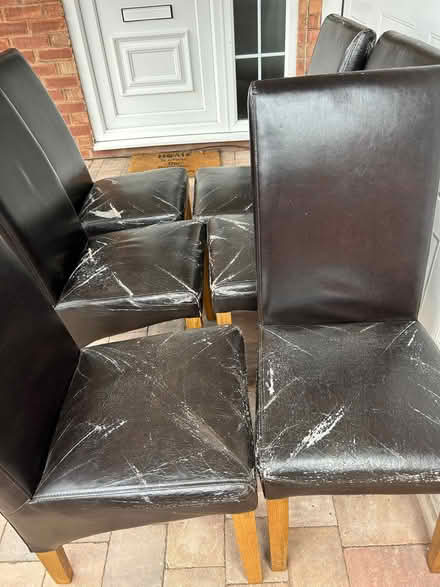 Photo of free Set of dining chairs (Bobblestock HR4) #1