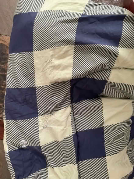 Photo of free Twin comforter and sham (Near Lyndhurst High School) #3