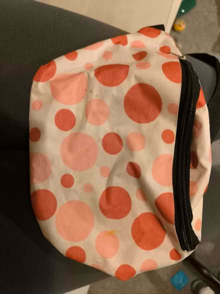 Photo of free Waist bag (Southend SS2) #1