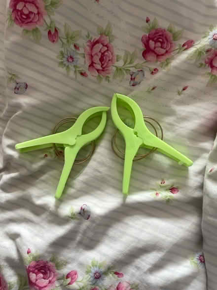 Photo of free Beach towel clips (Fawdon NE3) #2